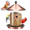 Clear Reservoir Bird Feeder with Conical Roof – product image 2