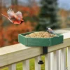 Clamp-Mounted Polygon Seed Tray – product image 1