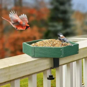 Clamp-Mounted Polygon Seed Tray – product image 1