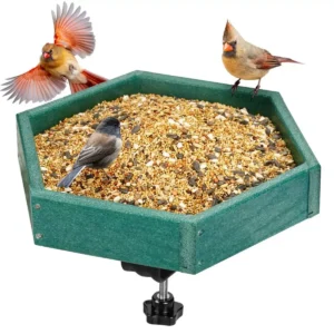 Clamp-Mounted Polygon Seed Tray – product image 2