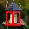 Clear-Reservoir Gazebo Seed Feeder – product image 1