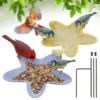 Garden Bird Bath Station with Side Seed Dish – product image 2