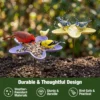 Garden Bird Bath Station with Side Seed Dish – product image 7