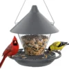 Cone-Roof Hopper Feeder with Ring Perch – product image 2