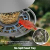Cone-Roof Hopper Feeder with Ring Perch – product image 5