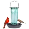 Hanging Glass Bird Waterer with Basin Tray – product image 2
