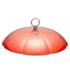 Broad Dome Cover for Hanging Feeders – product image 1