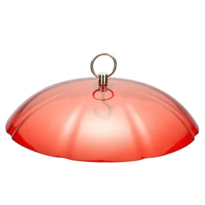 Broad Dome Cover for Hanging Feeders – product image 1