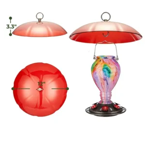 Broad Dome Cover for Hanging Feeders – product image 2