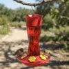 Curved Glass Hummingbird Feeder with Flower Ports – product image 1
