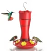 Curved Glass Hummingbird Feeder with Flower Ports – product image 2