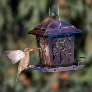 Decorative Lantern Feeder with Branch Cutouts – product image 1