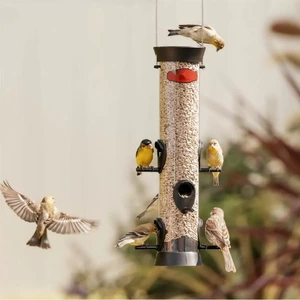 Clear Seed Tube Feeder with Offset Perches