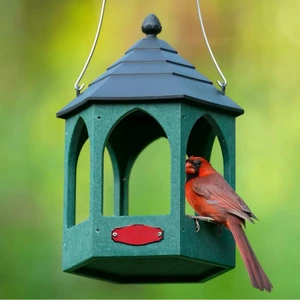 Open-Arch Gazebo Bird Feeder