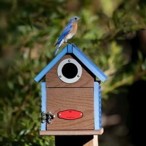 Pitched-Roof Nest Box with Front Latch