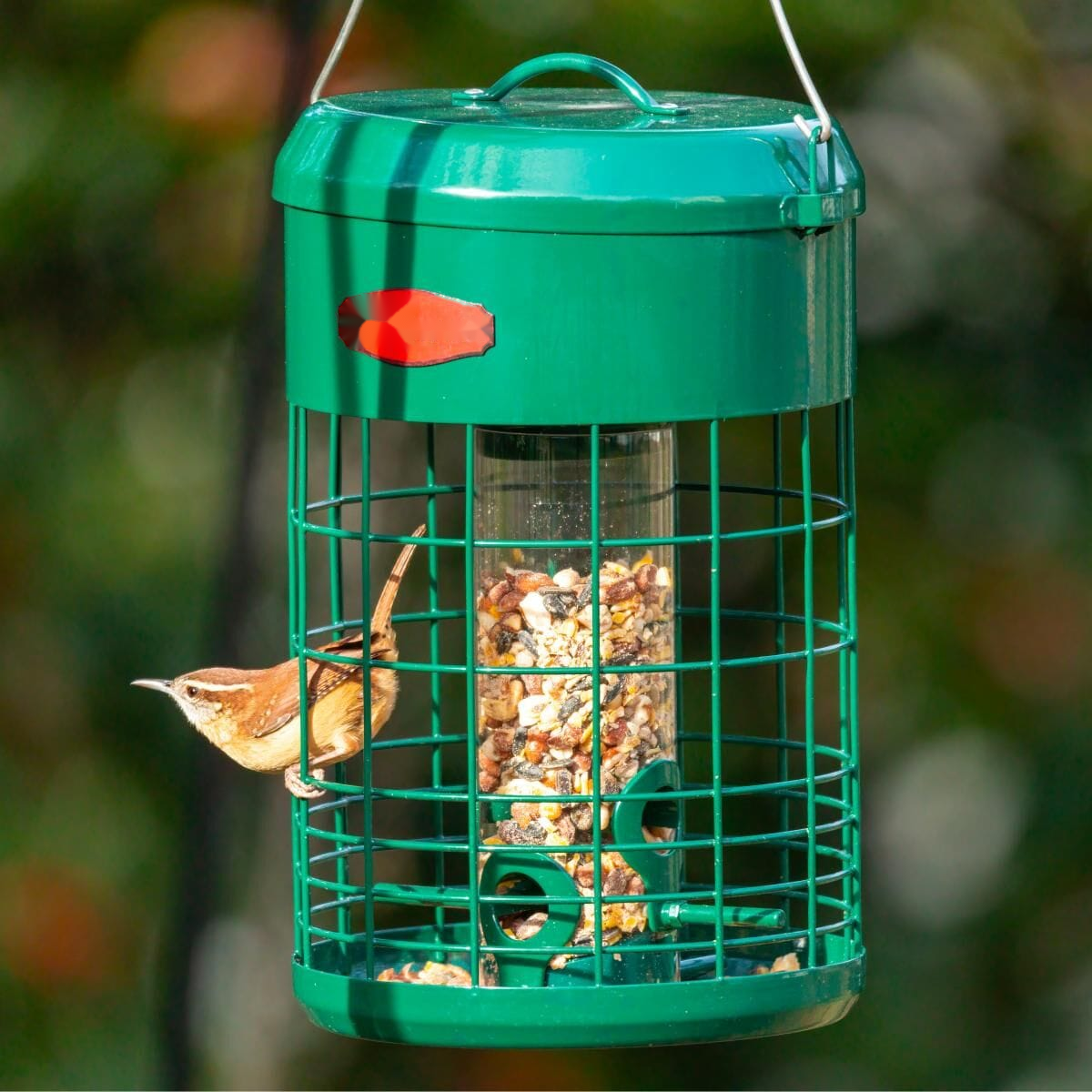 Tall Cage-Enclosed Tube Bird Feeder