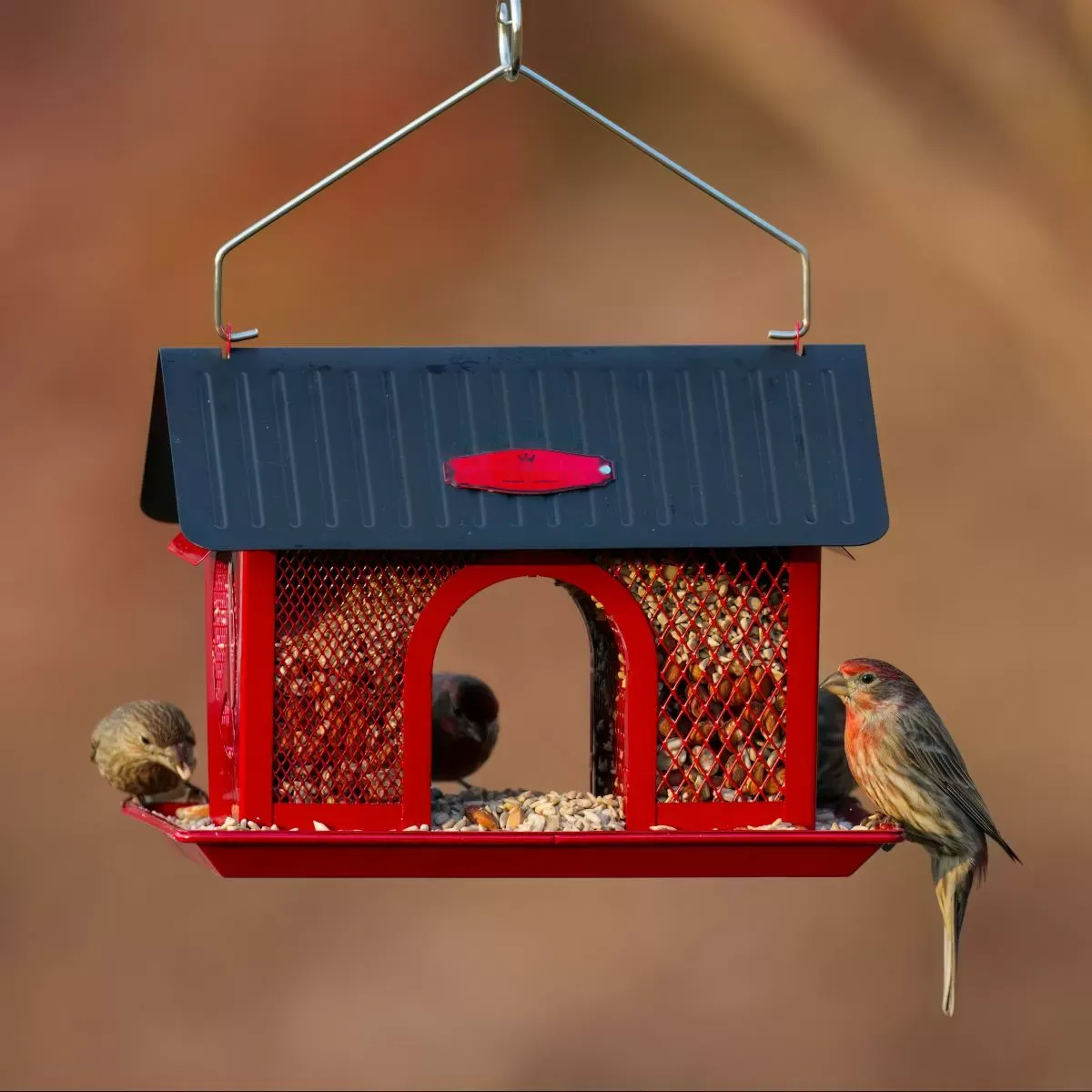 Arched-Opening Mesh Hopper Bird Feeder