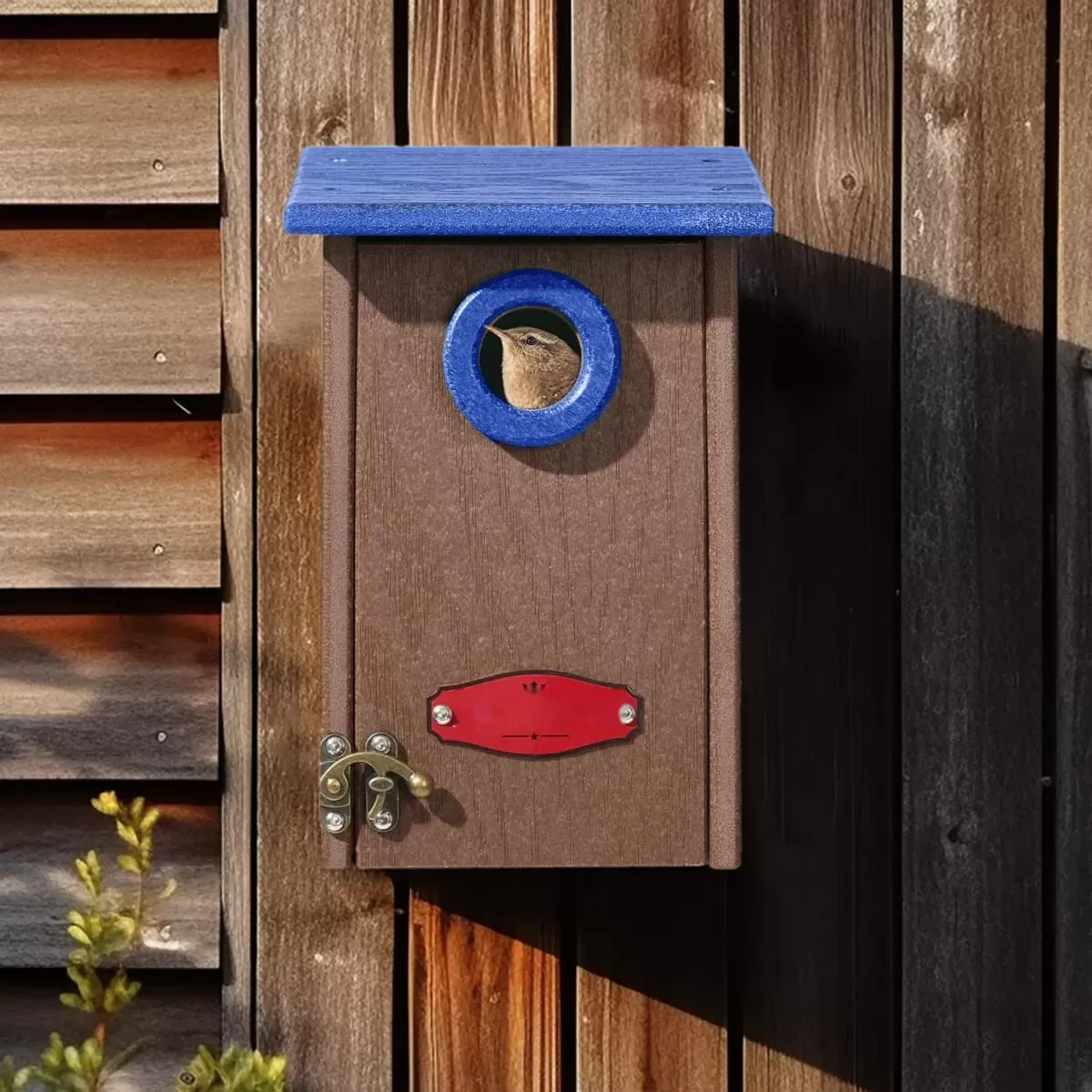 Sloping-Top Nest Box with Front Door Latch