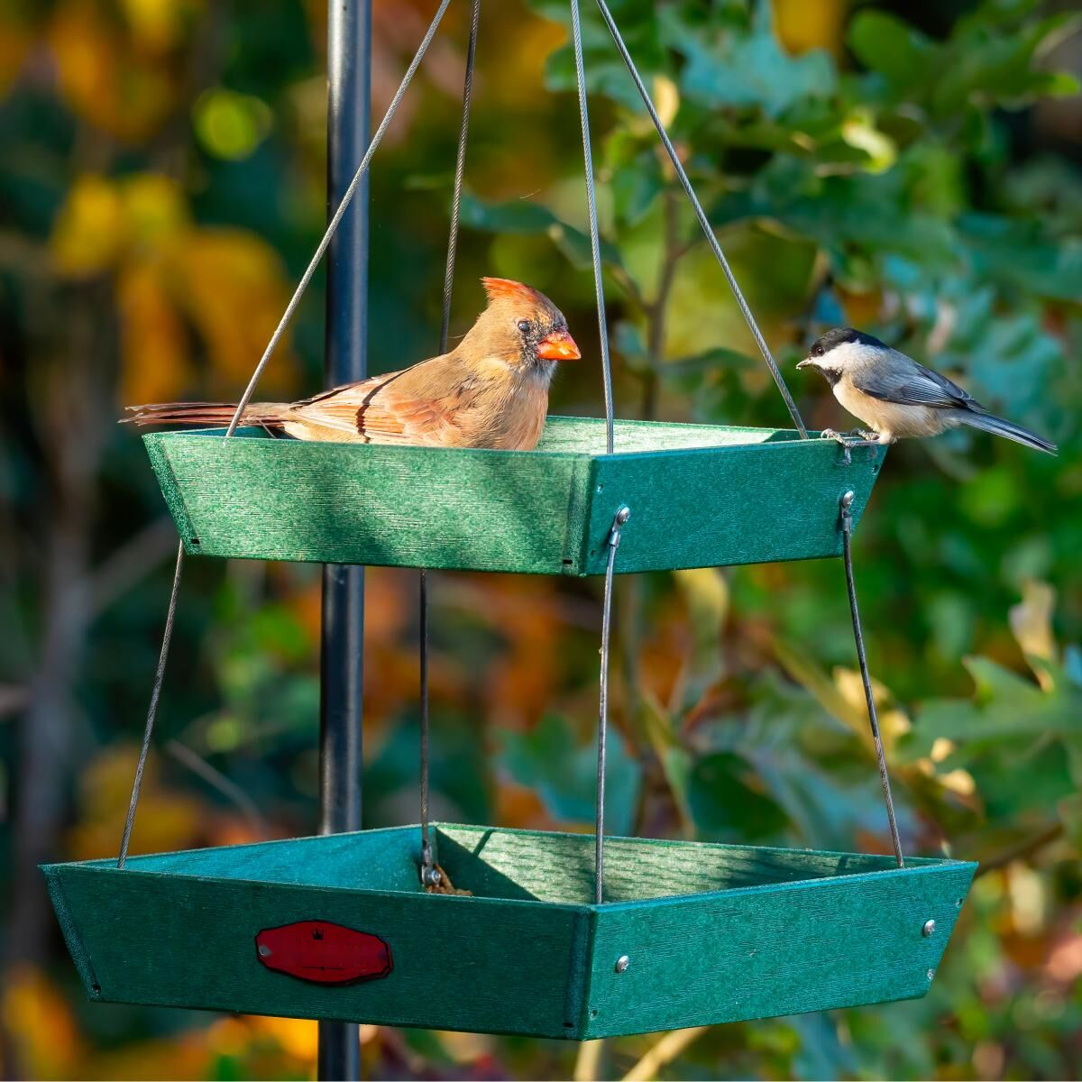Two-Level Hanging Platform Bird Feeder