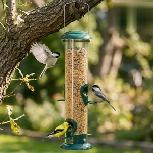 Slim Hanging Seed Tube with Straight Perches