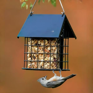 Roofed Wire Suet Feeder with Lower Perch