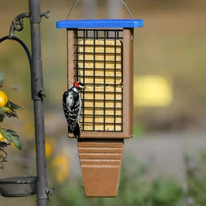 Long-Backpanel Suet Cage with Tail Support