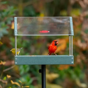 Roofed Platform Bird Feeder with Pole Kit