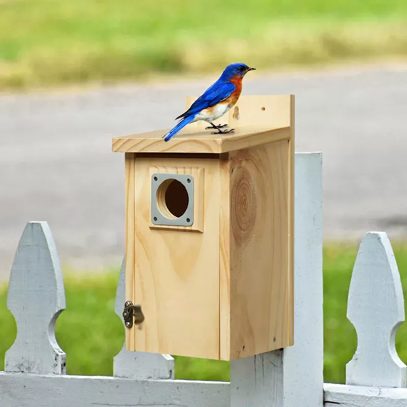 Wooden Nest Box with Metal Entrance Plate