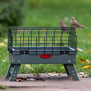 Raised Ground Feeder with Outer Cage