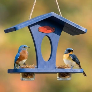 Twin-Cup Hanging Bird Feeder with Pitched Roof