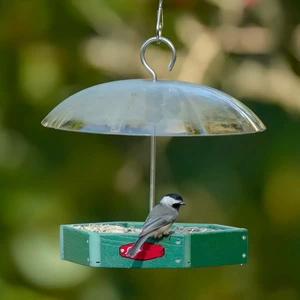 Polygon Tray Bird Feeder with Clear Dome