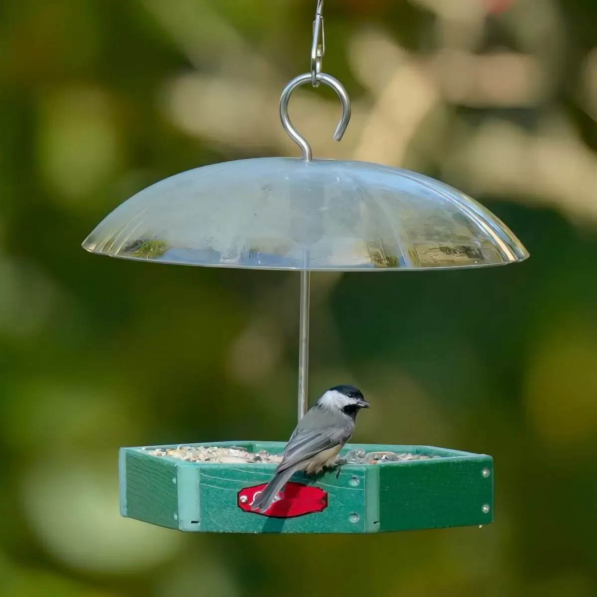 Polygon Tray Bird Feeder with Clear Dome