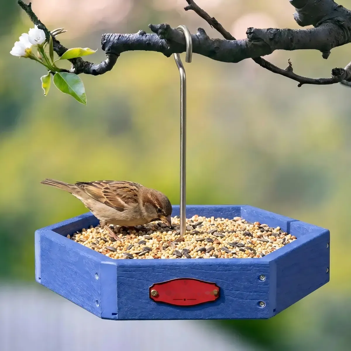 Octagonal Hanging Seed Tray with Centre Hook