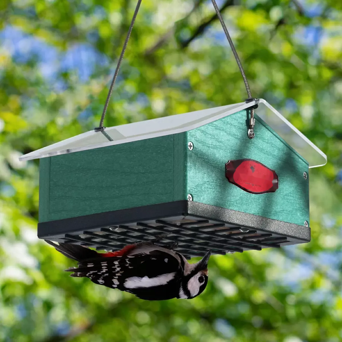 Box-Style Bottom-Access Suet Feeder