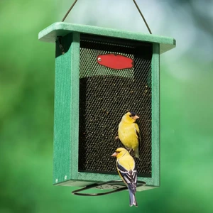 Rectangular Mesh Seed Feeder with Perching Bars