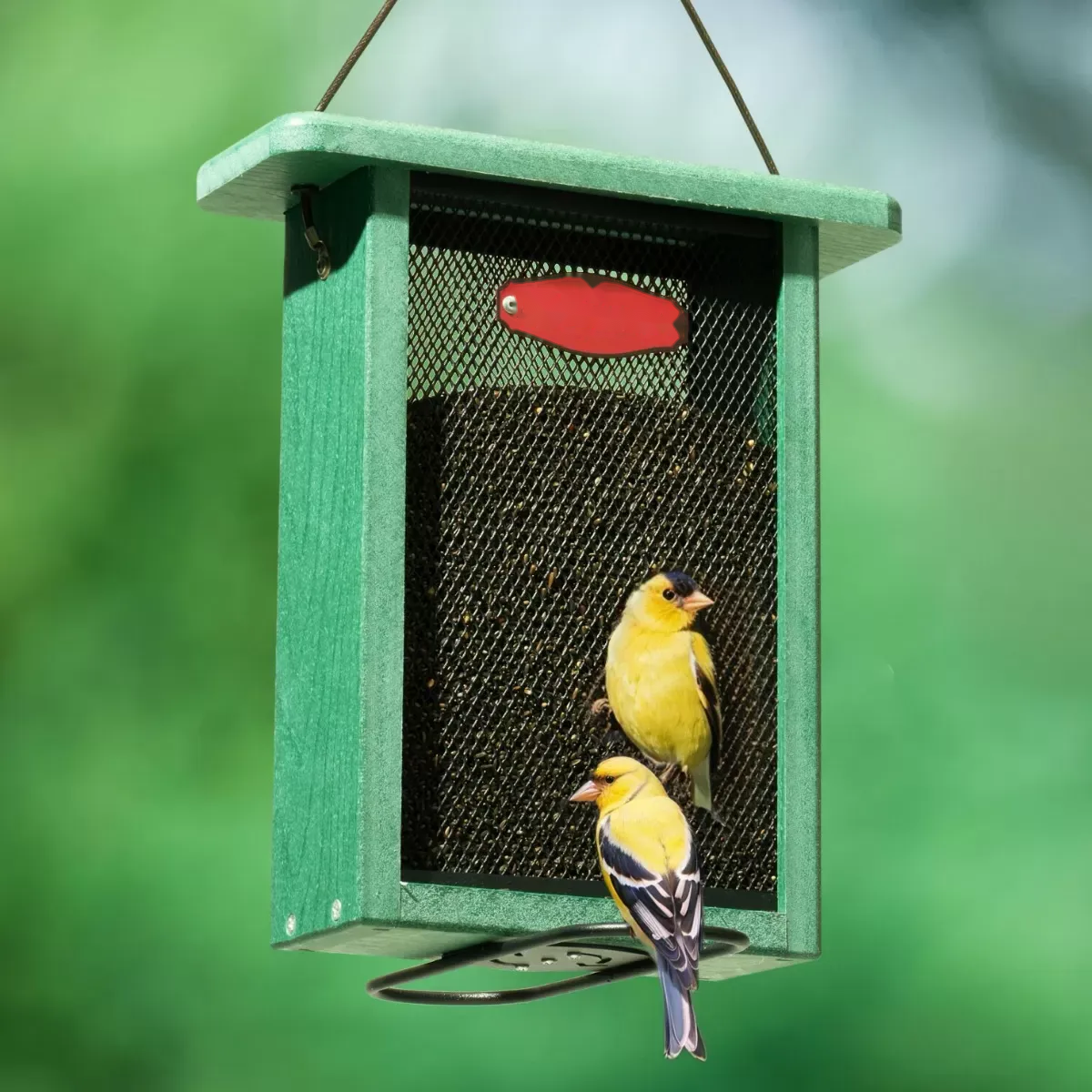 Rectangular Mesh Seed Feeder with Perching Bars