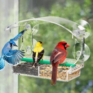 Clear Window Bird Feeder with Divided Seed Tray