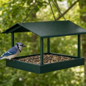 Platform Tray Feeder